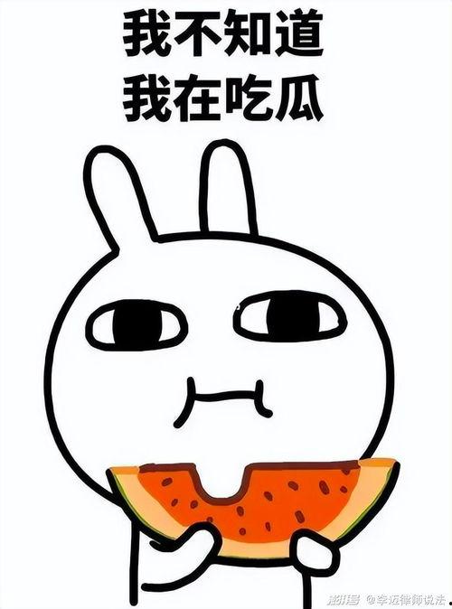 娱乐吃瓜喵栗子